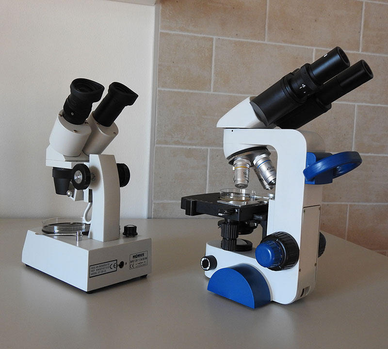 GardaLab S.r.l. | GardaLab a Larido, Bleggio Superiore - Laboratorio analisi per la sicurezza sanitaria contro la legionella
